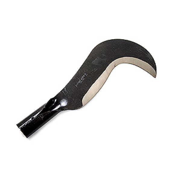 Rozon izquierdo bellota