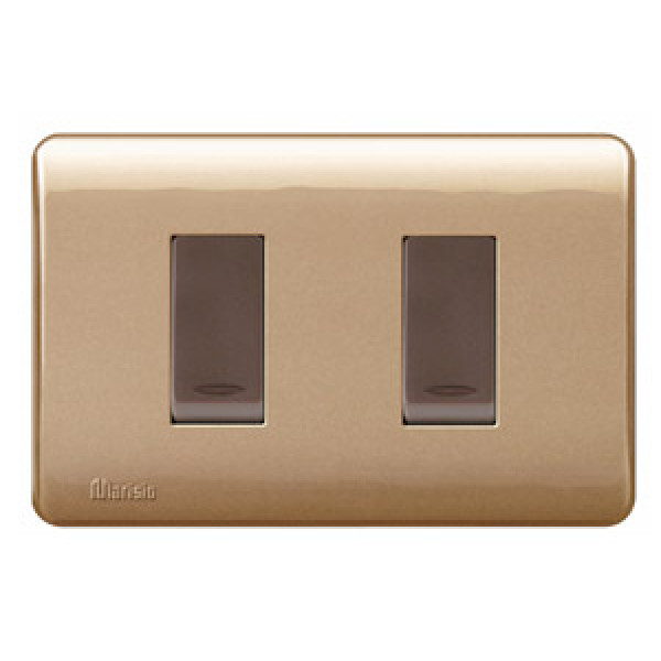 Interruptor doble embutido bticino cafe