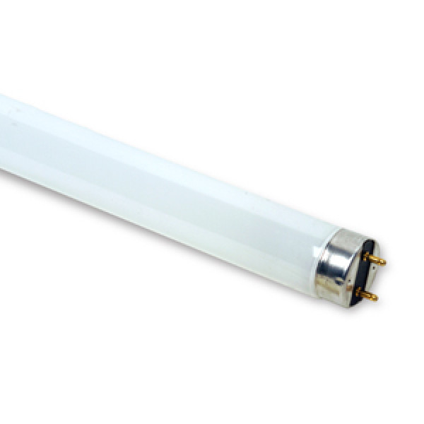 Tubo fluorescente 36w philips 120 mm